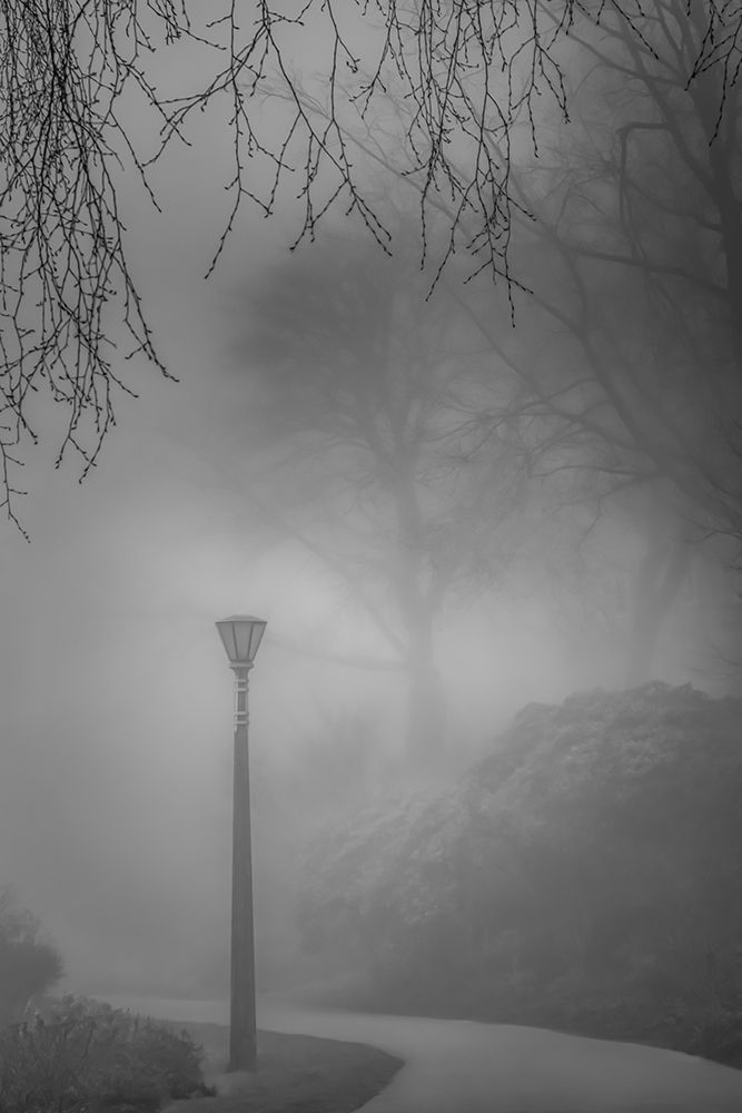 Misty Path art print by Don Schwartz for $57.95 CAD