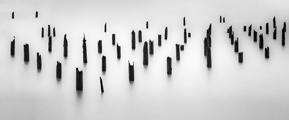 Coastal Pilings art print by Don Schwartz for $57.95 CAD