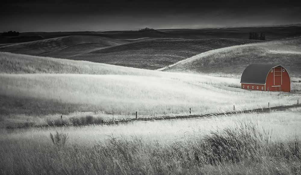 Waves of Grain art print by Don Schwartz for $57.95 CAD