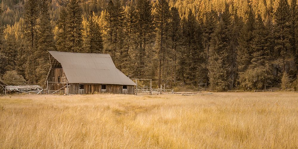 Old Barn in the Wilderness art print by Don Schwartz for $57.95 CAD