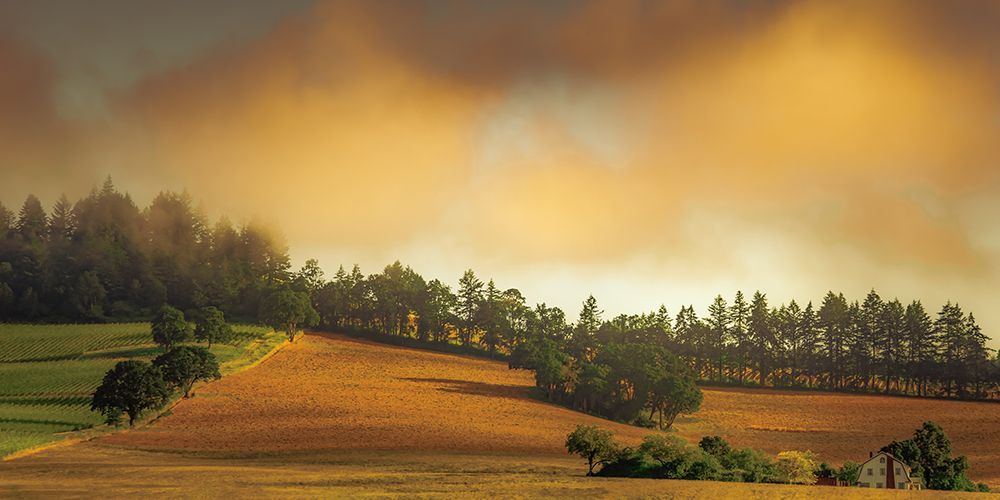 Farmhouse in Wine Country art print by Don Schwartz for $57.95 CAD