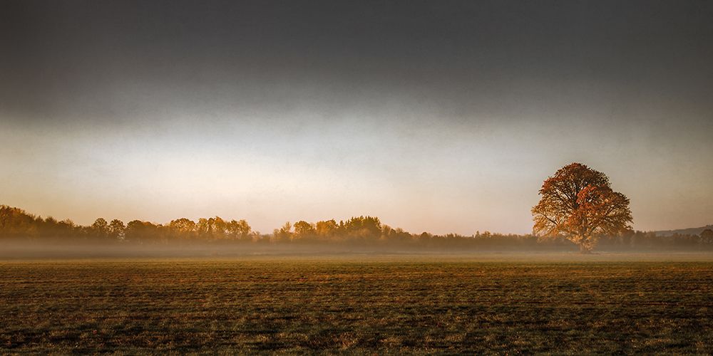 A Wisp of Fog in the Field art print by Don Schwartz for $57.95 CAD