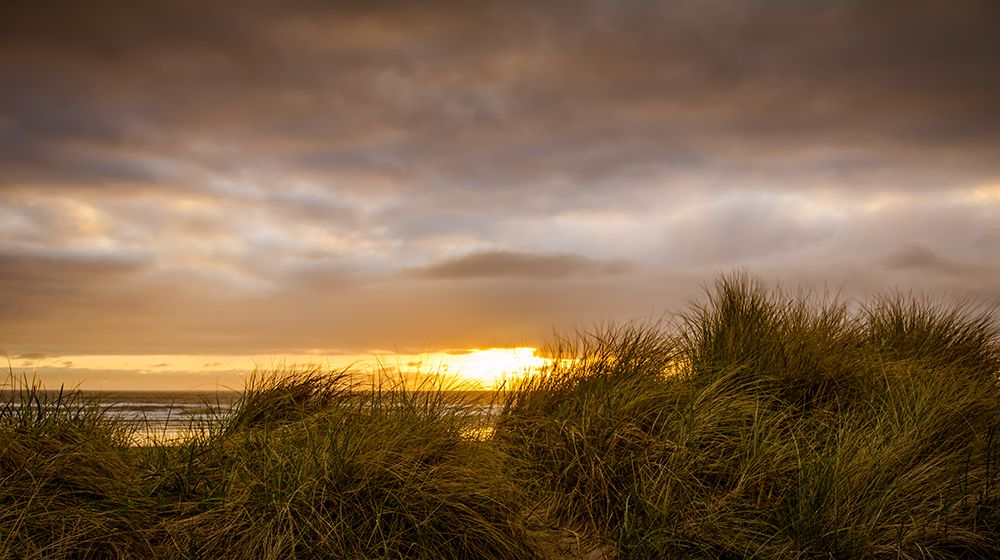 Sunset Through the Dunes art print by Don Schwartz for $57.95 CAD