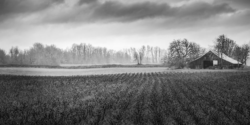 Winter Pasture art print by Don Schwartz for $57.95 CAD