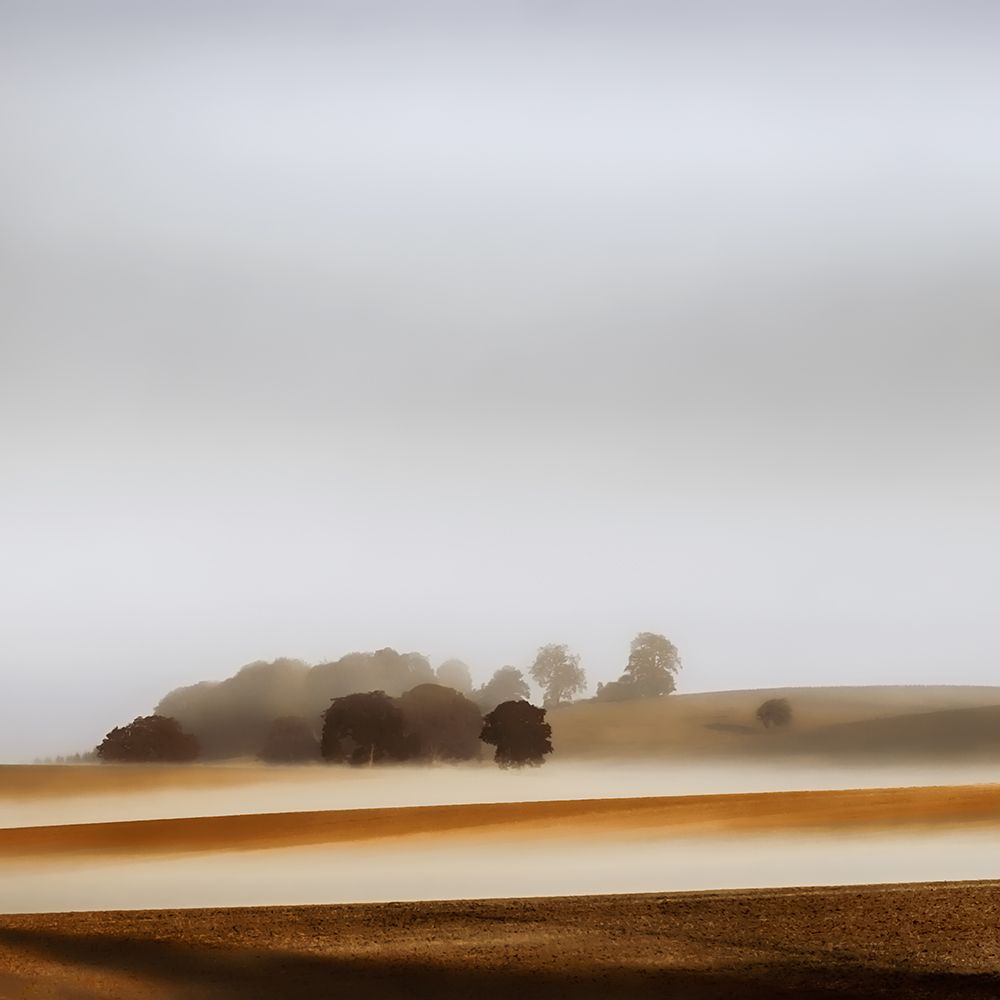 Fog in the Countryside art print by Don Schwartz for $57.95 CAD