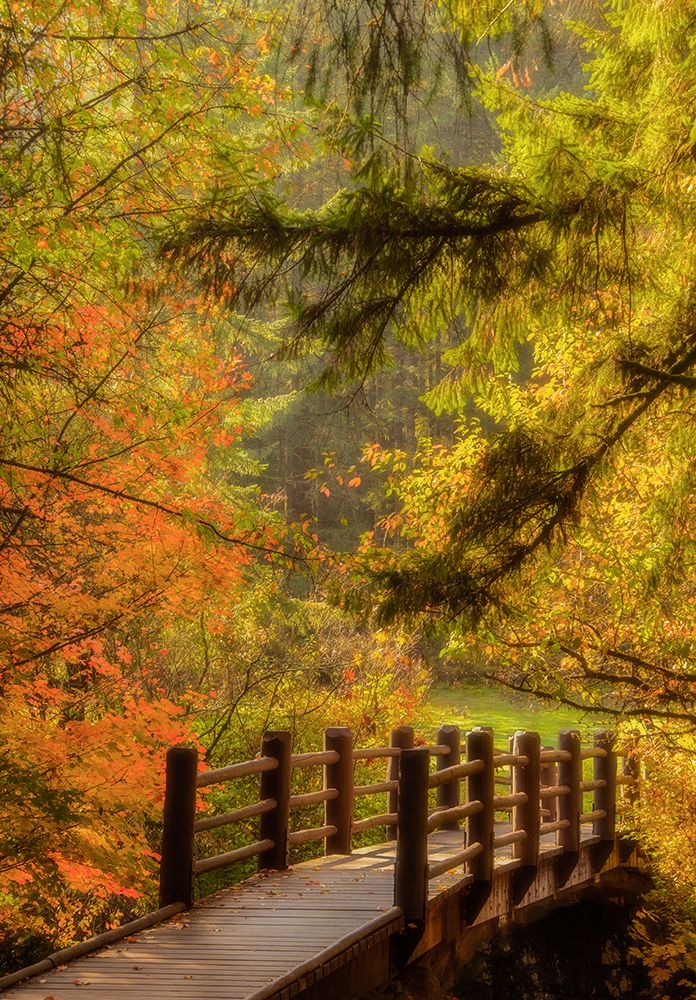 Across the Bridge in Autumn art print by Don Schwartz for $57.95 CAD