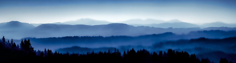 Coast Range in the Mist art print by Don Schwartz for $57.95 CAD