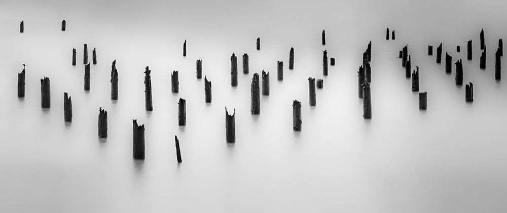 Pilings on the Bay art print by Don Schwartz for $57.95 CAD