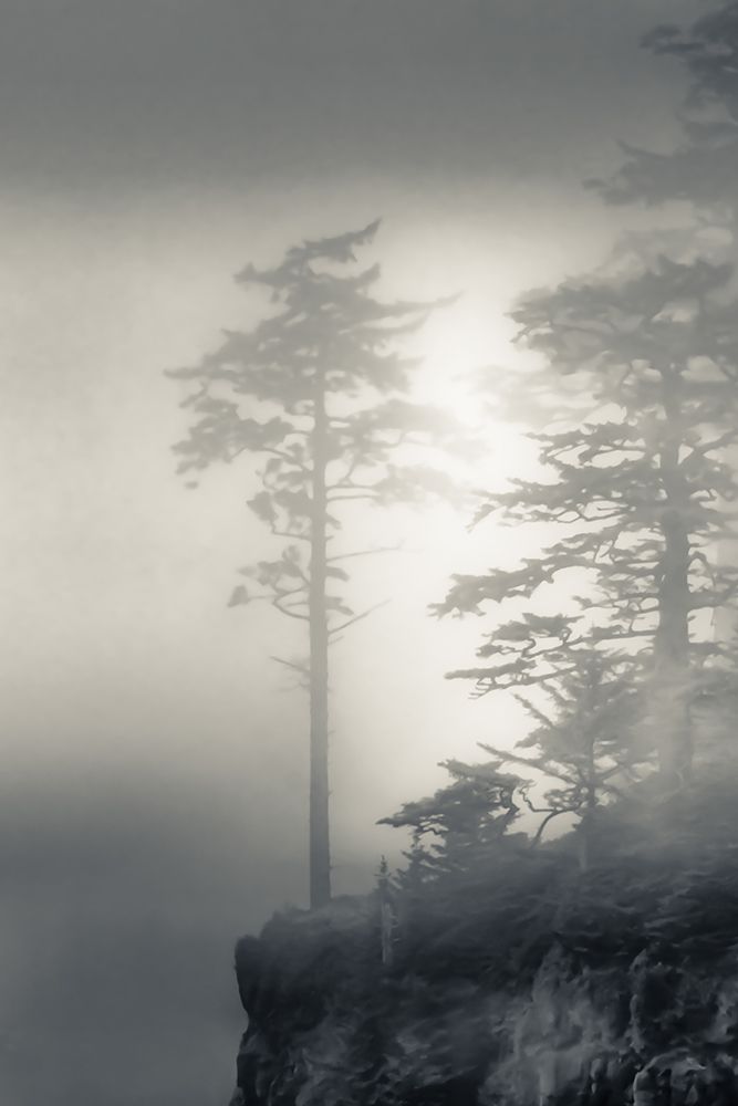 Cape Meares Mist art print by Don Schwartz for $57.95 CAD