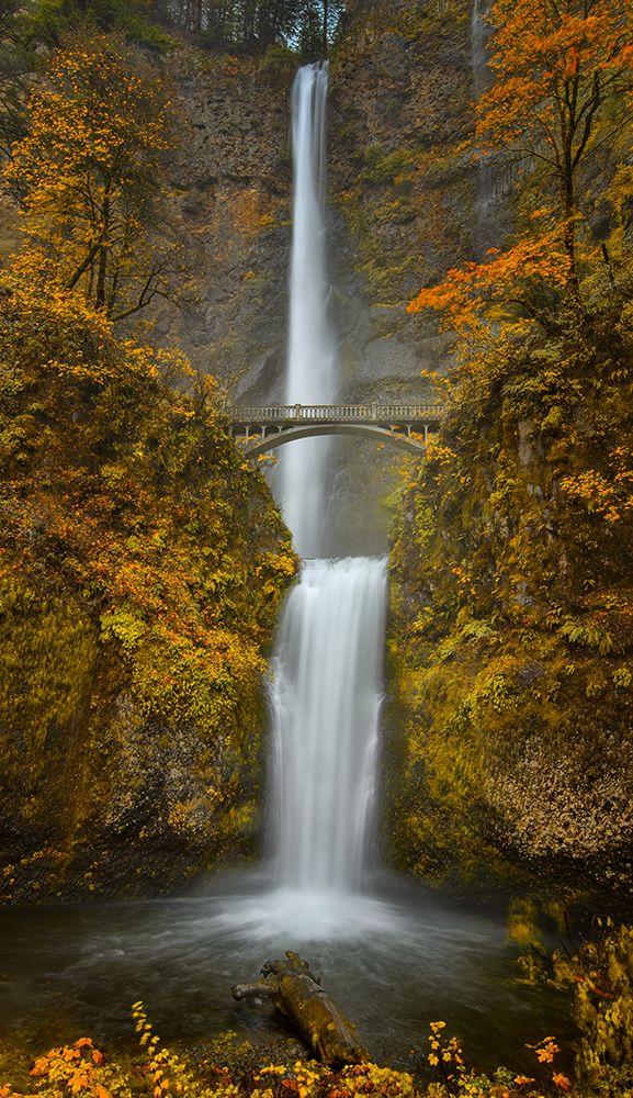 Multnomah Falls art print by Don Schwartz for $57.95 CAD