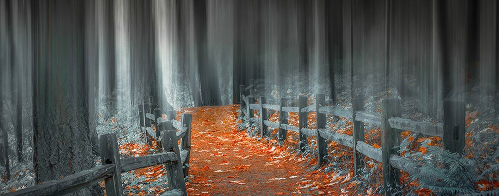 Into the Mystery art print by Don Schwartz for $57.95 CAD