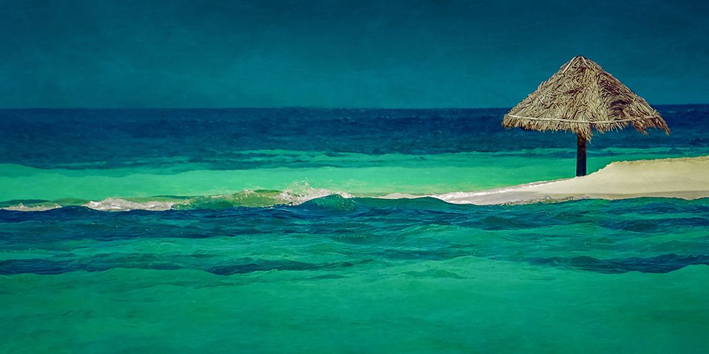 Tropical Umbrella art print by Don Schwartz for $57.95 CAD