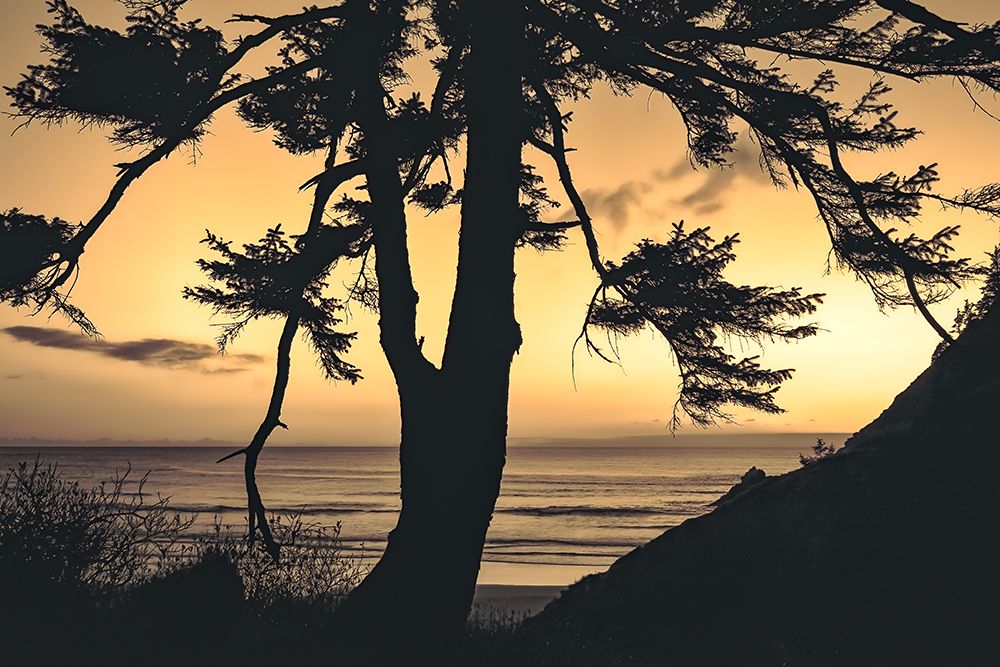 Ocean View art print by Don Schwartz for $57.95 CAD