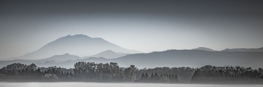 Fog on the Valley Floor art print by Don Schwartz for $57.95 CAD