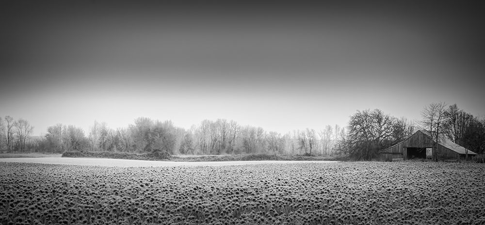 Barn on a Frosty Morning art print by Don Schwartz for $57.95 CAD