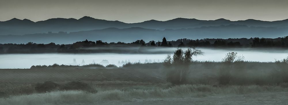 Gentle Morning Mist art print by Don Schwartz for $57.95 CAD