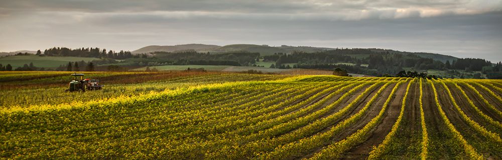 Crops art print by Don Schwartz for $57.95 CAD