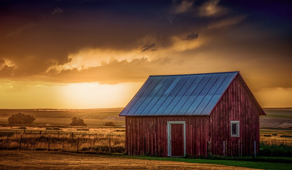 Little Red Shed art print by Don Schwartz for $57.95 CAD