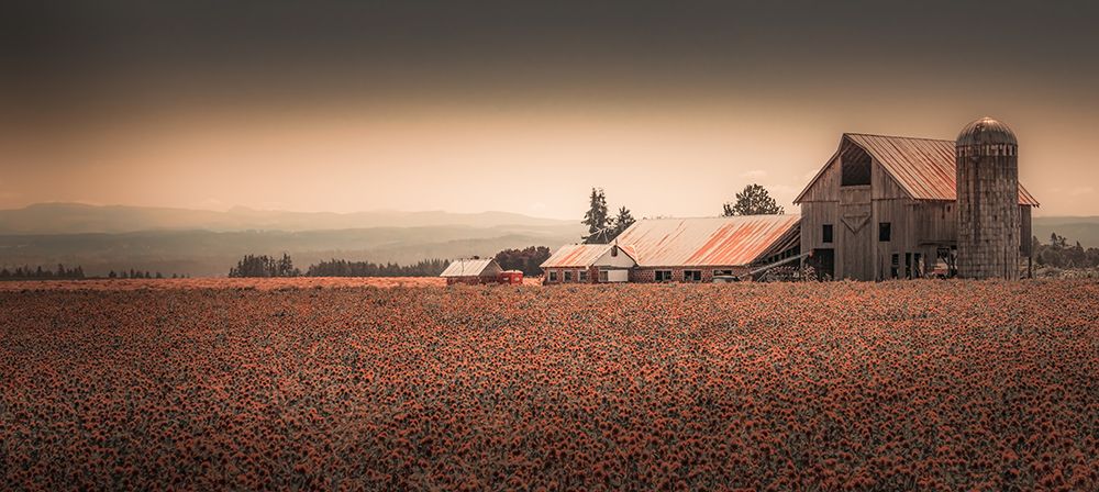 Rusted Barn art print by Don Schwartz for $57.95 CAD