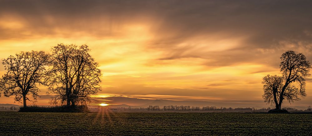 Dawns Delight art print by Don Schwartz for $57.95 CAD