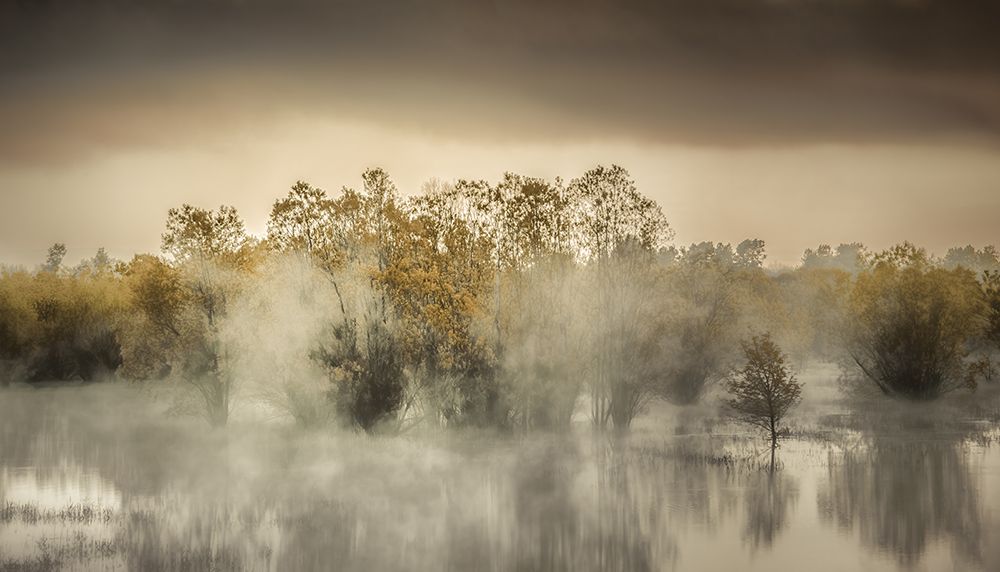 On a Pond art print by Don Schwartz for $57.95 CAD