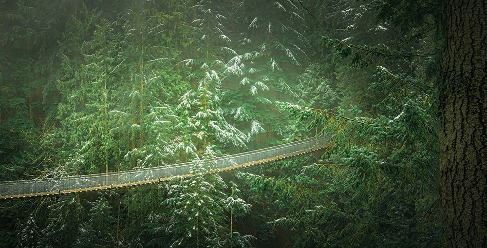 Bridge Across the Forest art print by Don Schwartz for $57.95 CAD