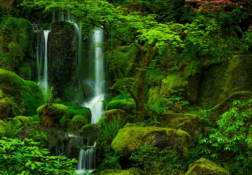 Heavenly Falls in Spring art print by Don Schwartz for $57.95 CAD
