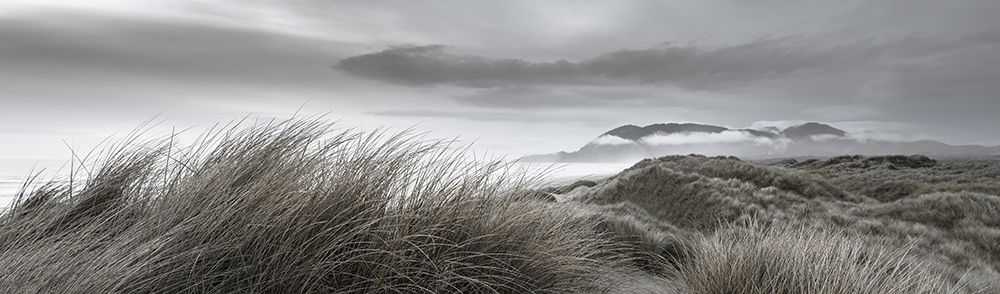 Coastal Dunes at Dusk art print by Don Schwartz for $57.95 CAD