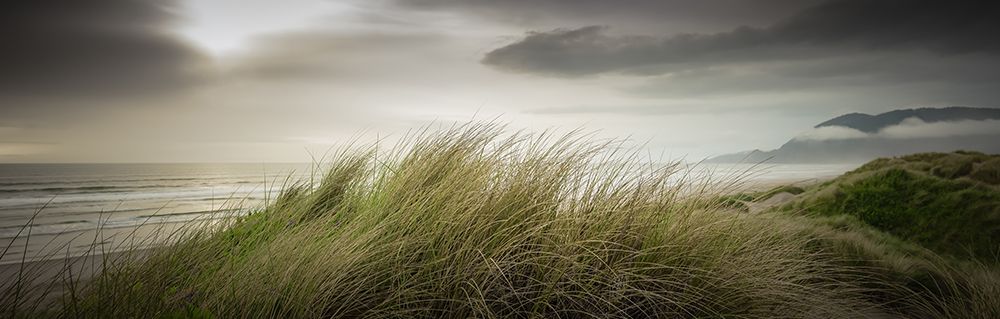 Dunes at Sunset art print by Don Schwartz for $57.95 CAD