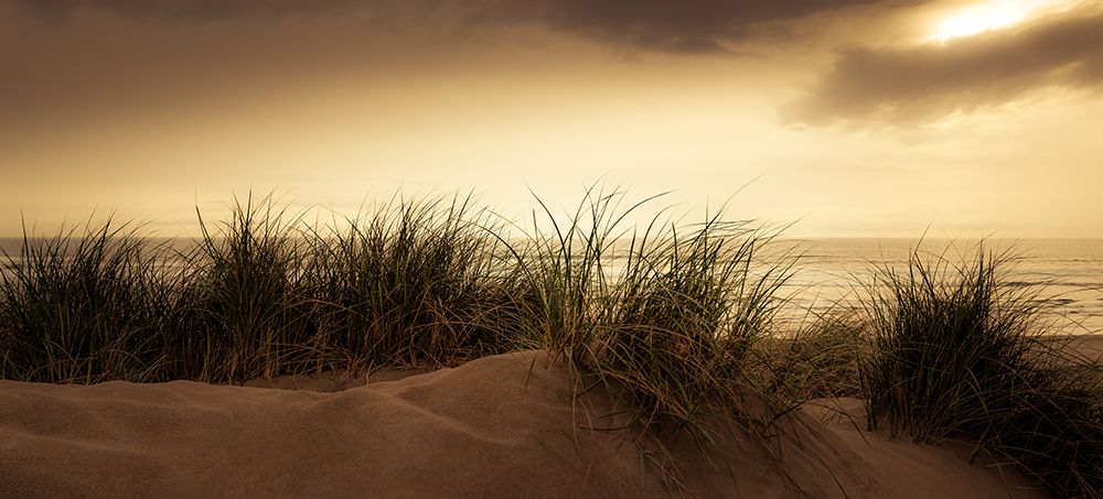 Dunes art print by Don Schwartz for $57.95 CAD