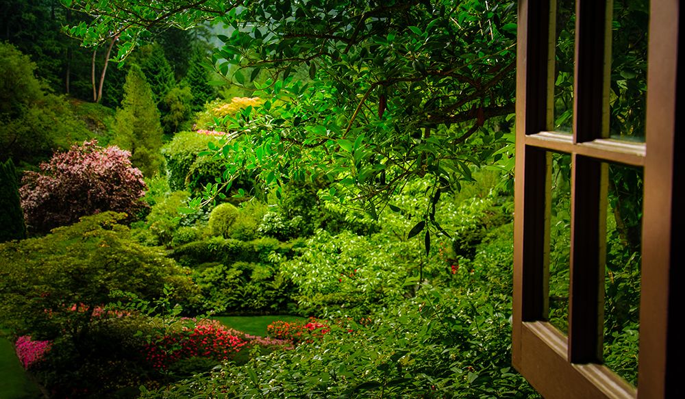 Through the Garden Window art print by Don Schwartz for $57.95 CAD
