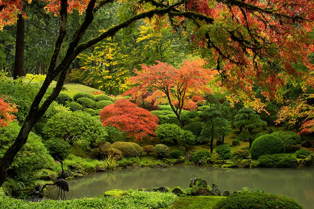 Upper Pond in Autumn art print by Don Schwartz for $57.95 CAD