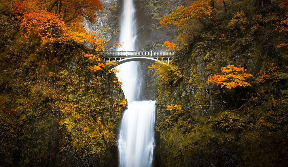 Multnomah Falls in Autumn art print by Don Schwartz for $57.95 CAD