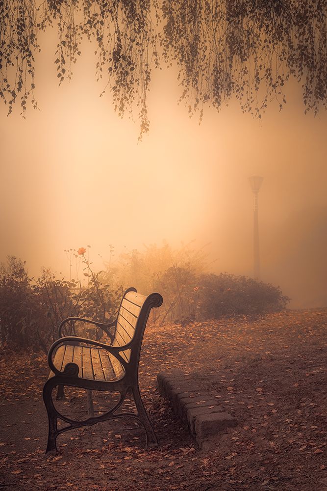 Park Bench in the Fog art print by Don Schwartz for $57.95 CAD