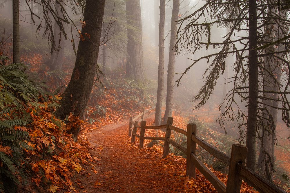 Along the Trail art print by Don Schwartz for $57.95 CAD