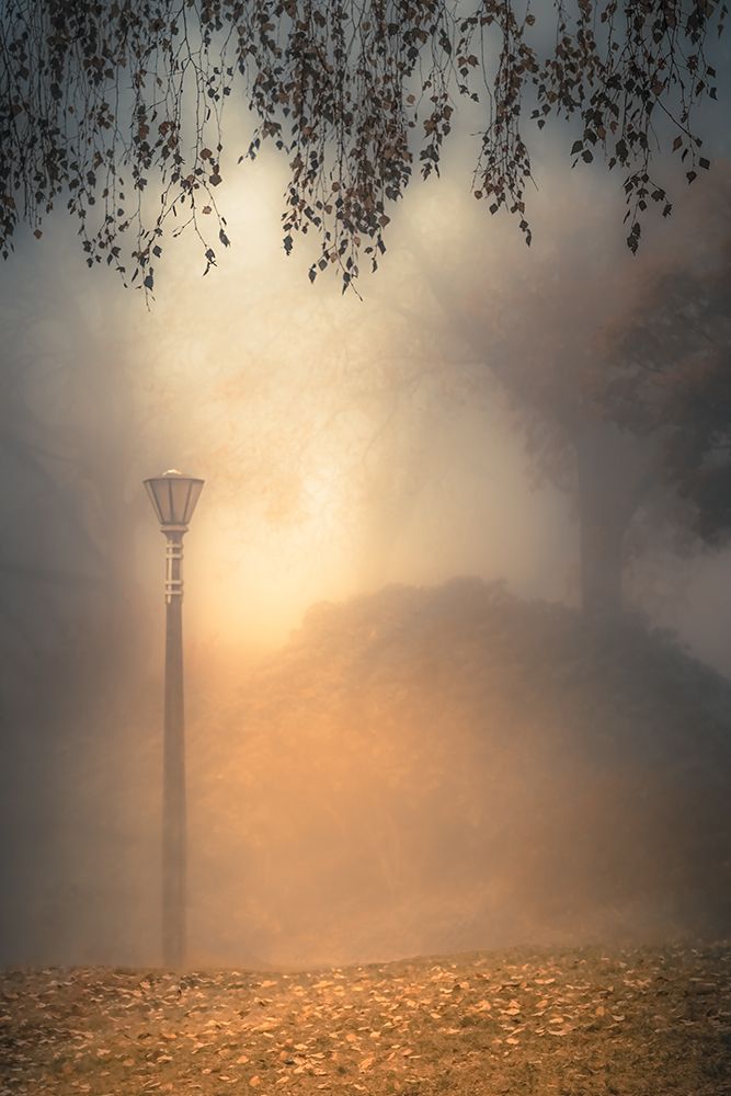 Lamppost in the Fog art print by Don Schwartz for $57.95 CAD