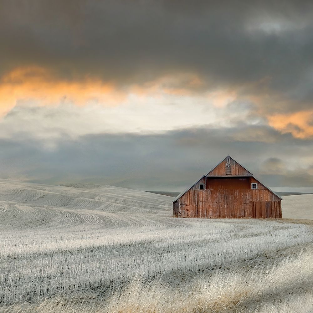 Old Barn in the Winter Wheat art print by Don Schwartz for $57.95 CAD