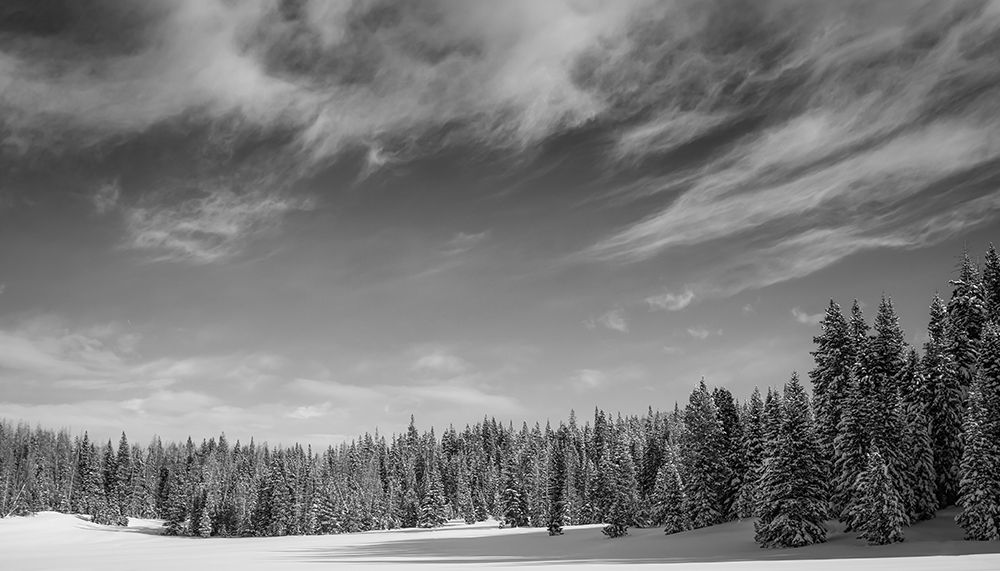 Snow-Dappled Trees Meet the Sky art print by Don Schwartz for $57.95 CAD