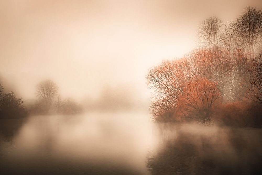 Touched By Mist art print by Don Schwartz for $57.95 CAD