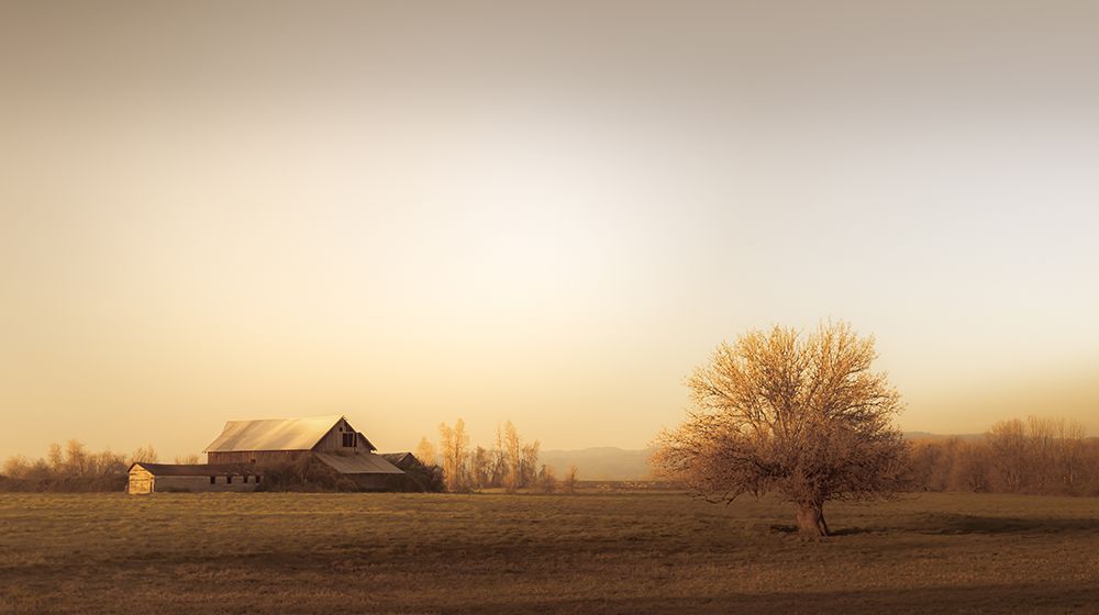 Barn at the End of the Road I art print by Don Schwartz for $57.95 CAD