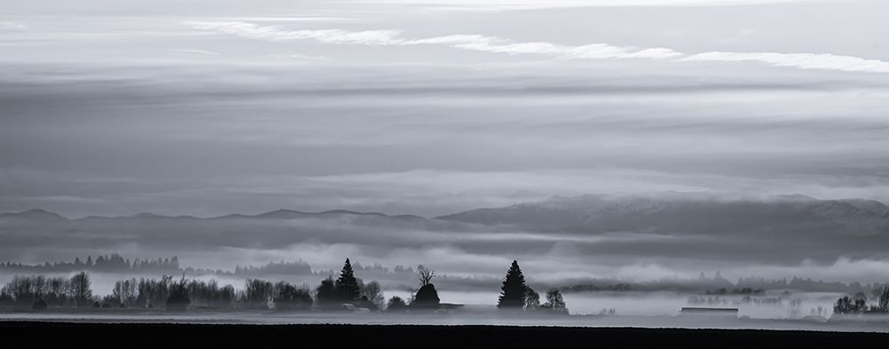 Misty Field art print by Don Schwartz for $57.95 CAD