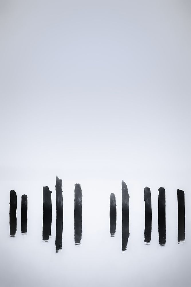 River Pilings art print by Don Schwartz for $57.95 CAD
