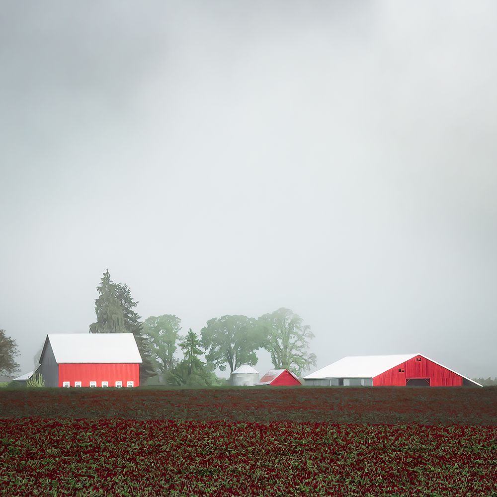 Foggy Spring Morning in the Country II art print by Don Schwartz for $57.95 CAD