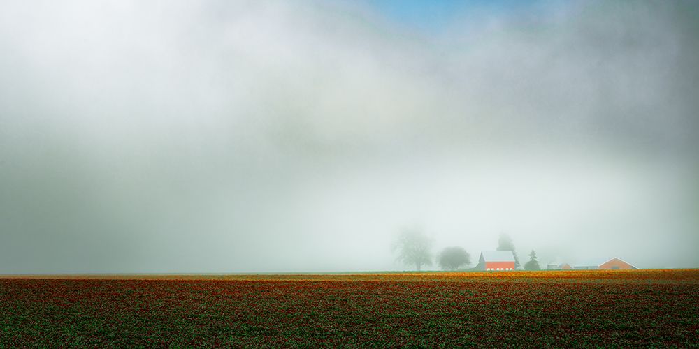 Misty Fields of Clover art print by Don Schwartz for $57.95 CAD