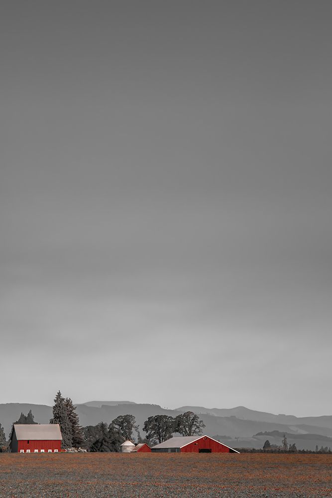 Two Red Barns in Clover art print by Don Schwartz for $57.95 CAD