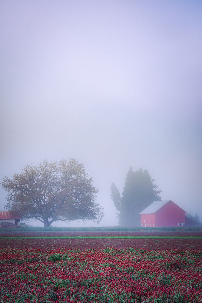 Little Barn Beyond the Clover art print by Don Schwartz for $57.95 CAD