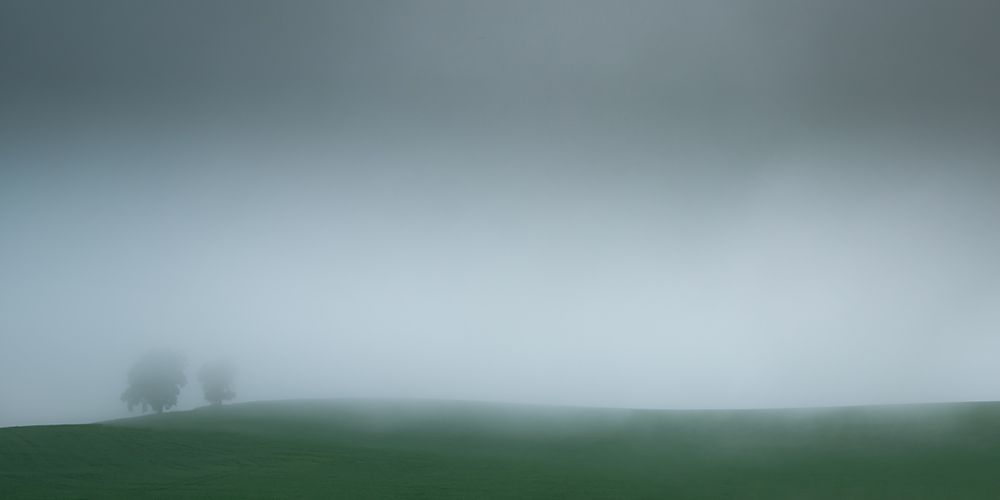 Two Trees in the Fog art print by Don Schwartz for $57.95 CAD
