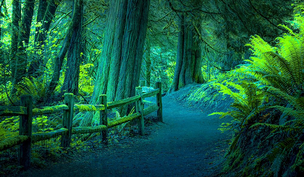 Neon Forest art print by Don Schwartz for $57.95 CAD
