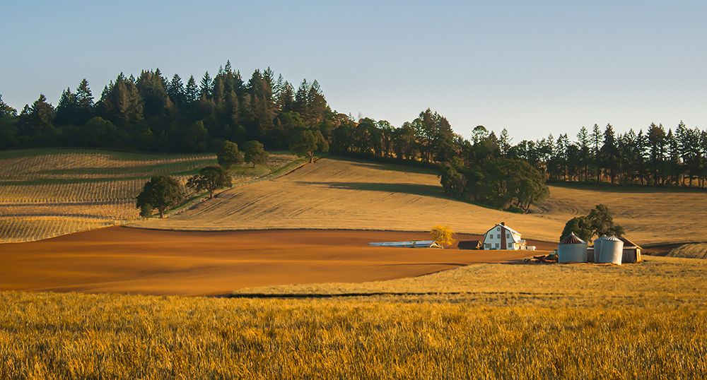 Rolling Hills, Tranquil Farm II art print by Don Schwartz for $57.95 CAD