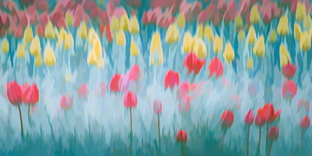 Tulip Swirl art print by Don Schwartz for $57.95 CAD